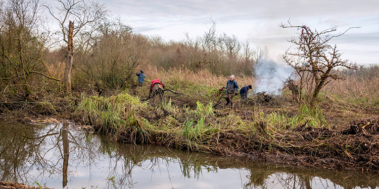 volunteers by Ann Kerridge
