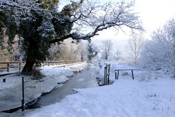 wheatfen in snow david nobbs