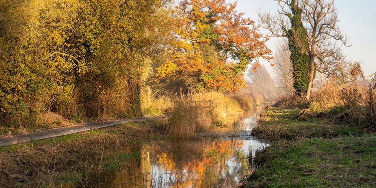 autumn annie kerridge