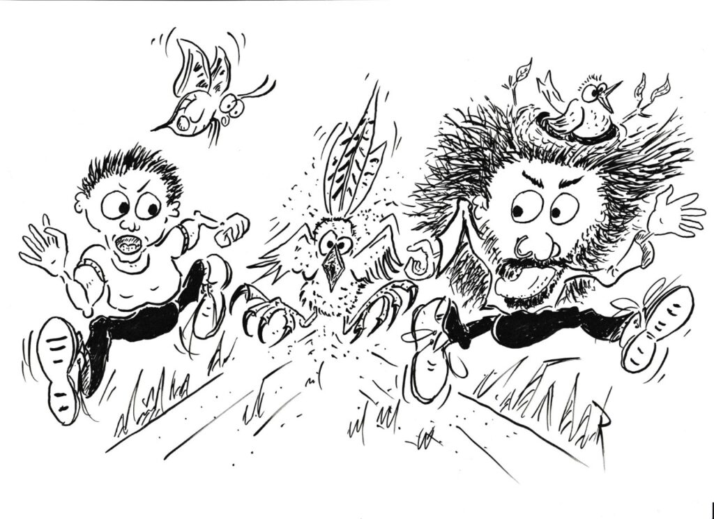 Pheasant attack cartoon by Kevin Radley