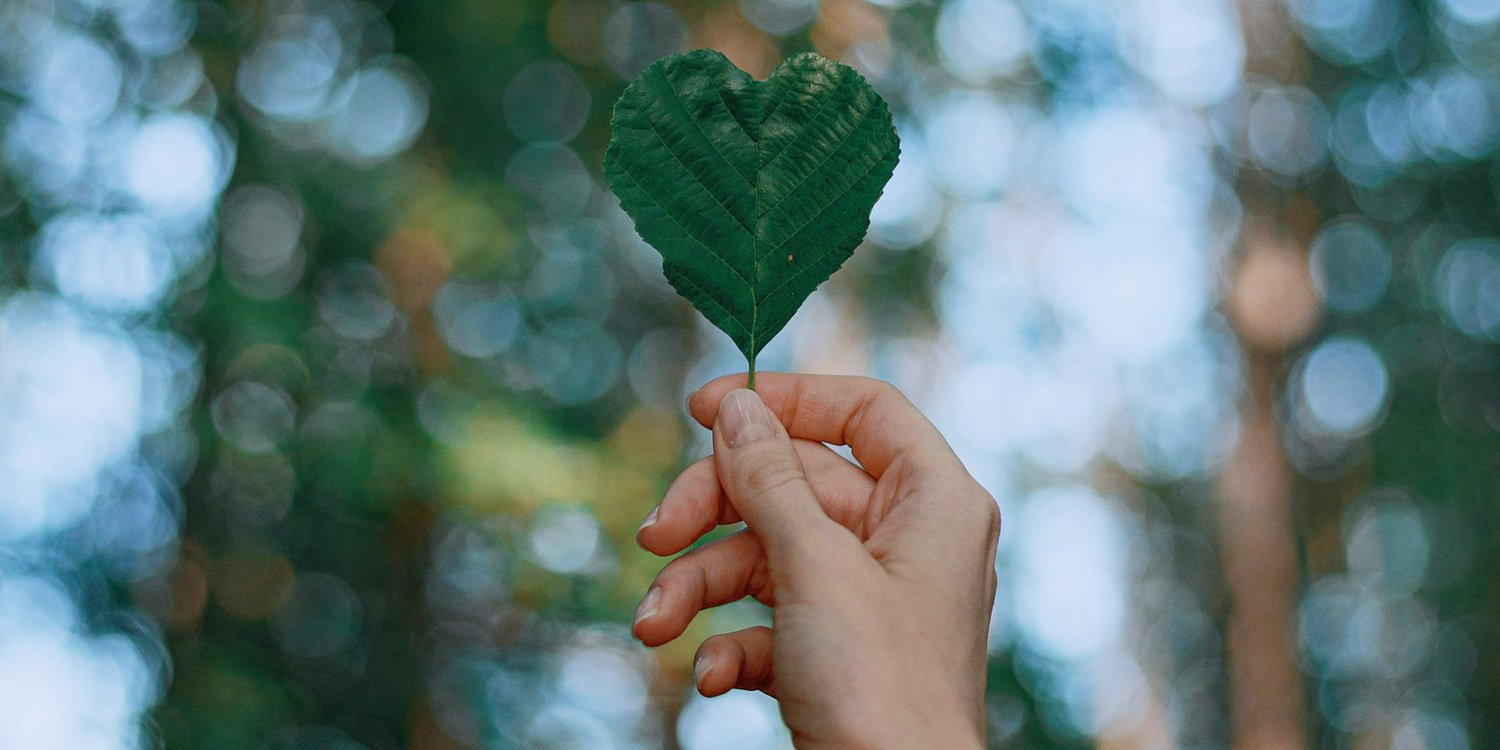 A person holding a leaf