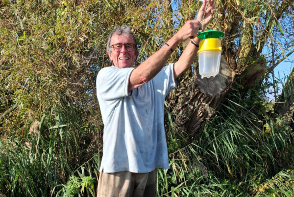 Dave Jones using a moth trap at Wheatfen